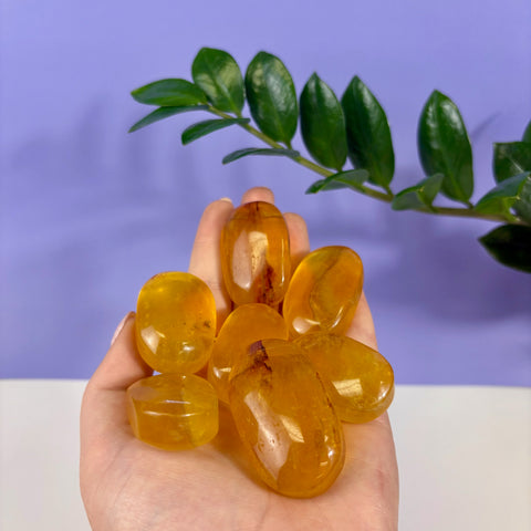 Hand holding several polished, translucent yellow fluorite palm stones with natural inclusions against a purple background.