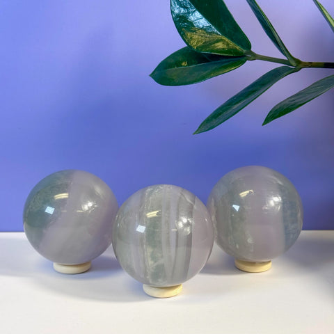 Three Yttrium Fluorite spheres, light purple and green, on white stands against a purple wall.