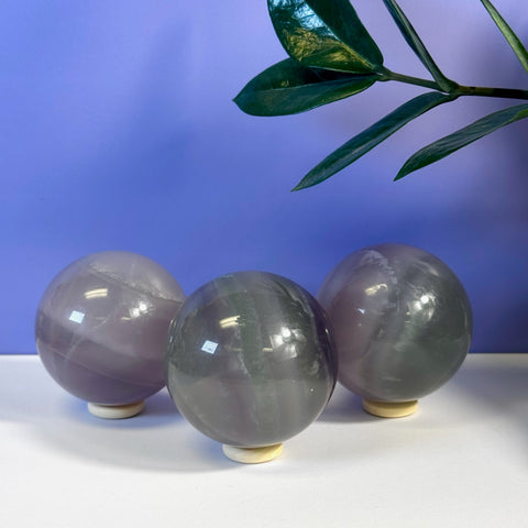 Three polished Yttrium Fluorite spheres, showing purple, green, and gray hues, on white stands.