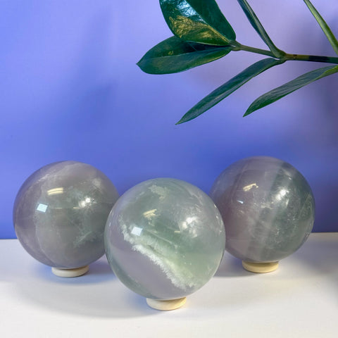 Three polished Yttrium Fluorite spheres with purple and green hues, displayed on wooden stands.