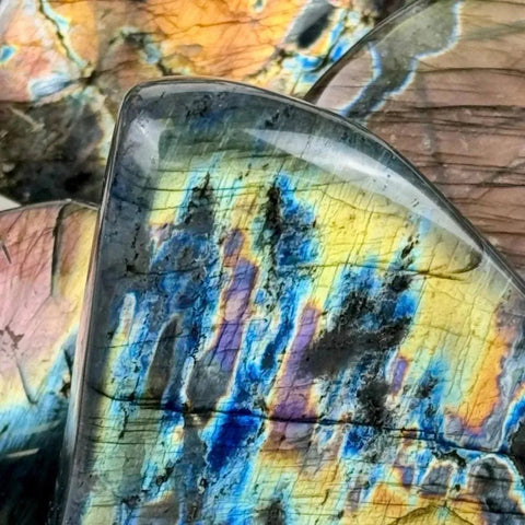 Iridescent labradorite stones in free forms, showcasing vibrant blue, yellow, and purple flashes.