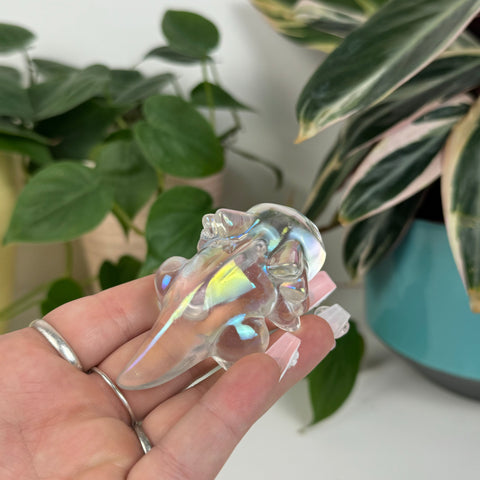99% Discounted Items (for product orders over CAD$300)