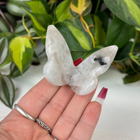 3D Butterflies