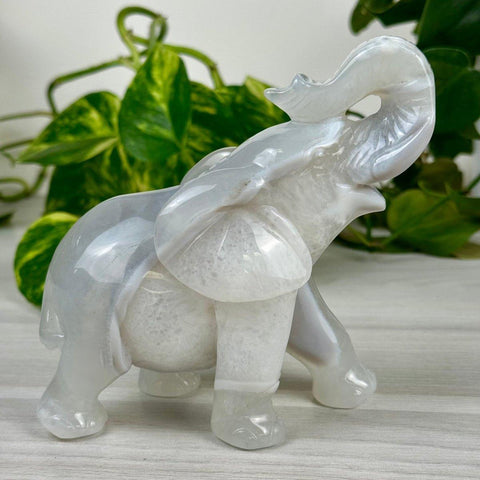 Polished white and grey agate elephant carving with trunk raised, against a green plant backdrop.