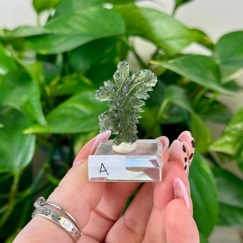 Textured, translucent green moldavite crystal on a clear stand, held against lush green leaves.