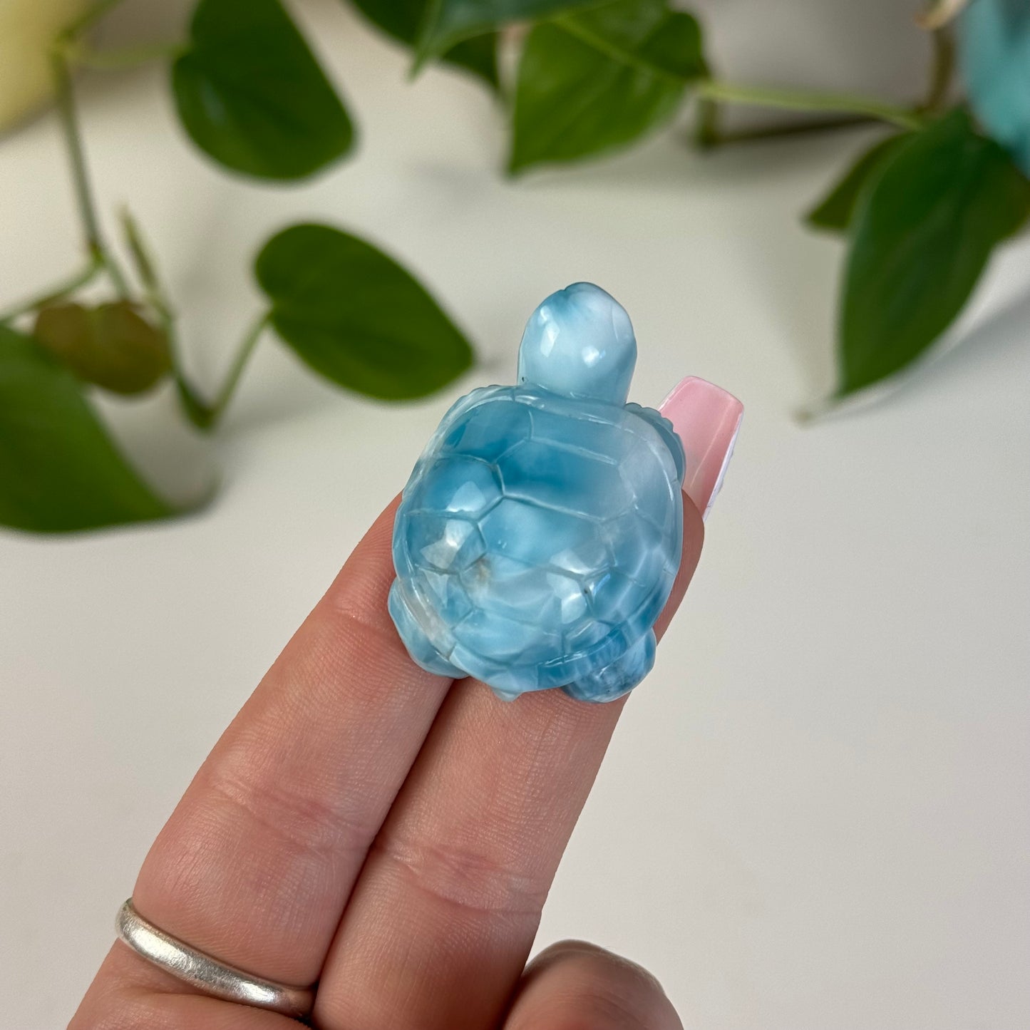 Medium Larimar Turtle