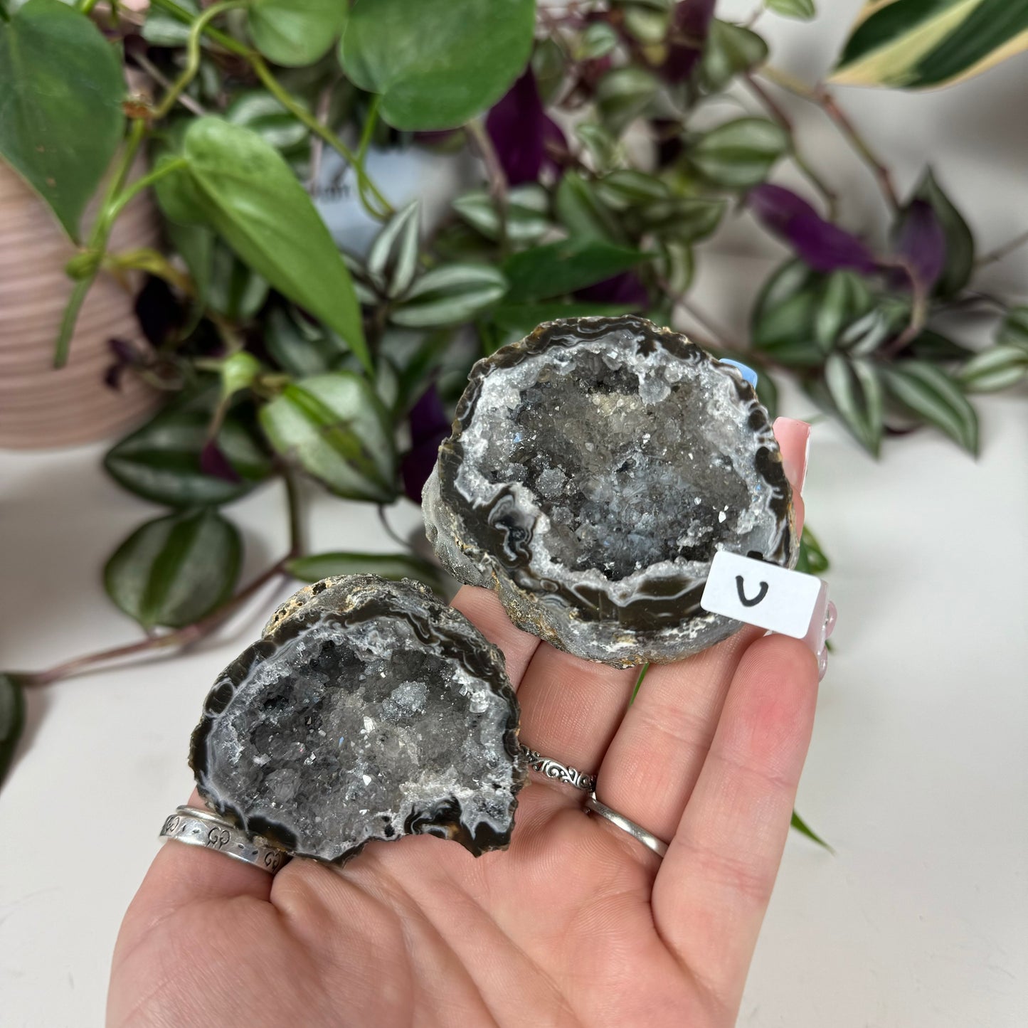 Druzy Agate Geode Pair