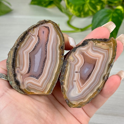 Candy Agate Pairs