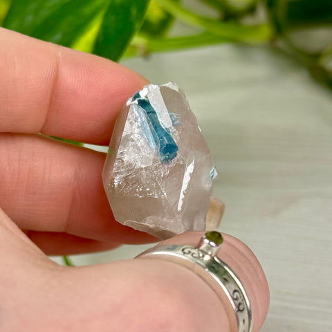 Indicolite Tourmaline Specimen