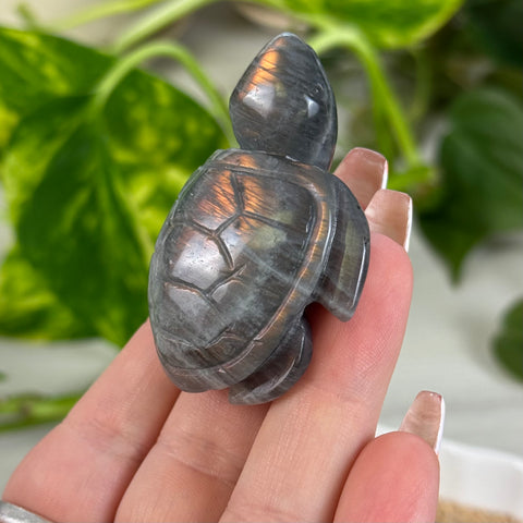Sunset Labradorite Turtle