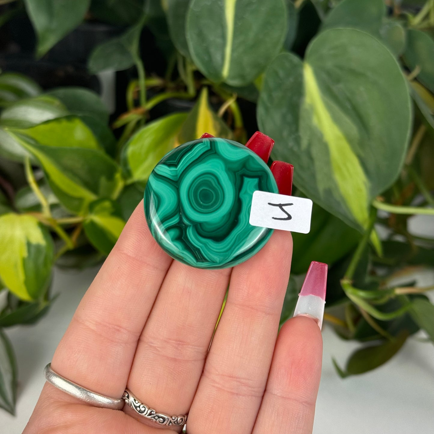 Mini Malachite Cookie