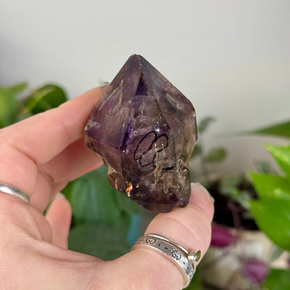 Enhydro Shangaan Amethyst