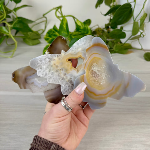 Mystery Druzy Agate Butterfly