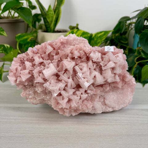 Statement Pink Halite - D