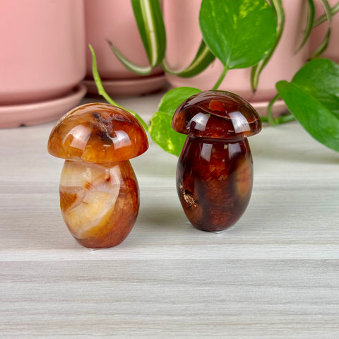 Carnelian Mushroom - Crystal Carving