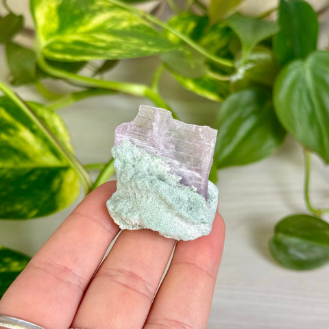 Kunzite Specimen - A