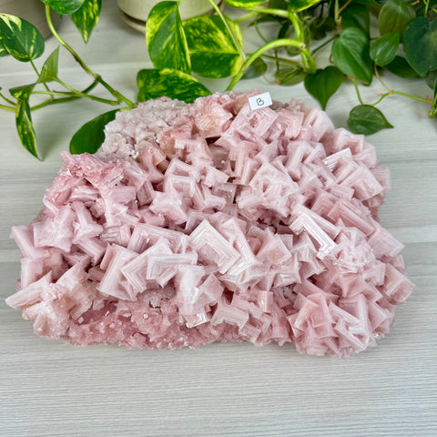 Statement Pink Halite - B