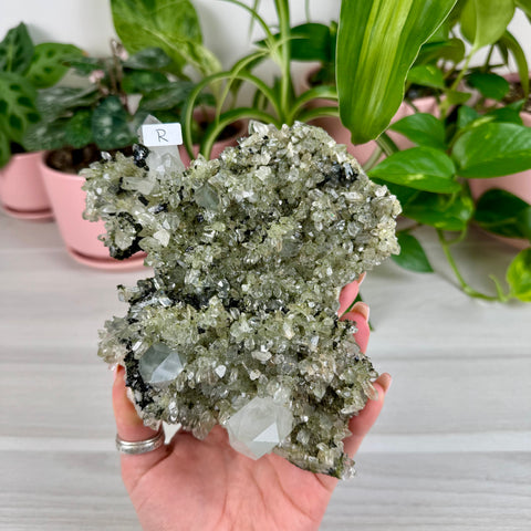 Black Epidote & Chlorite Quartz Specimen (Forest Quartz)