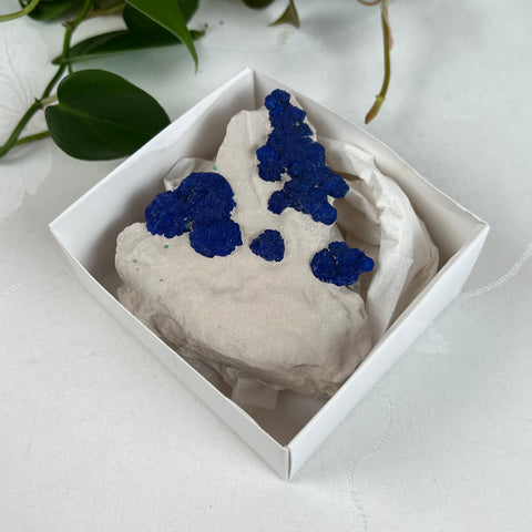 Azurite Sun Specimen