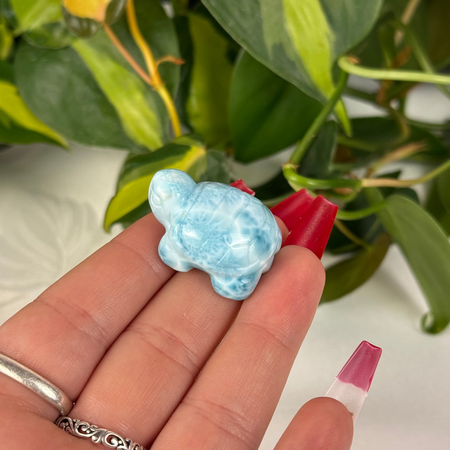 Mini Larimar Turtle