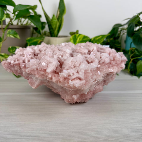 Statement Pink Halite - C