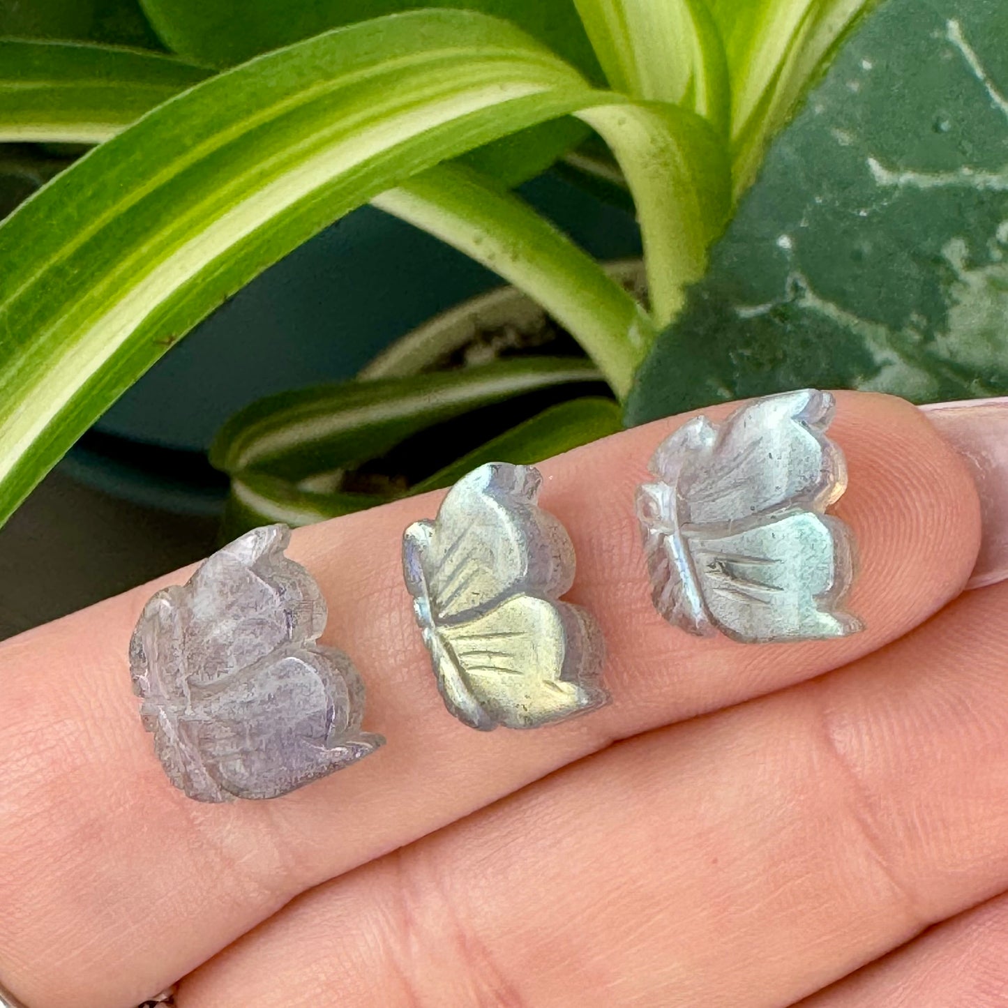 Mini AAA Labradorite Butterfly