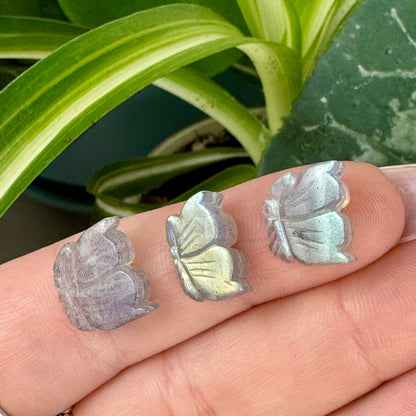Mini AAA Labradorite Butterfly