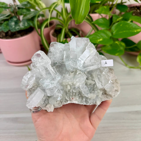 Sparkling White Chalcedony With Apophyllite