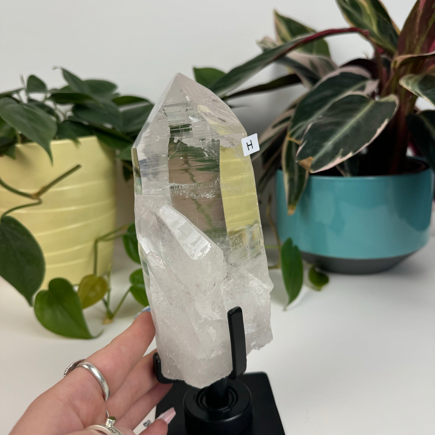 Incredible Lemurian Quartz (W/ Custom Stand) - H