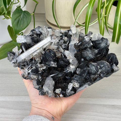 Hematite Roses With Harlequin Quartz Specimen