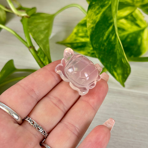 Mini Mozambique Rose Quartz Turtle
