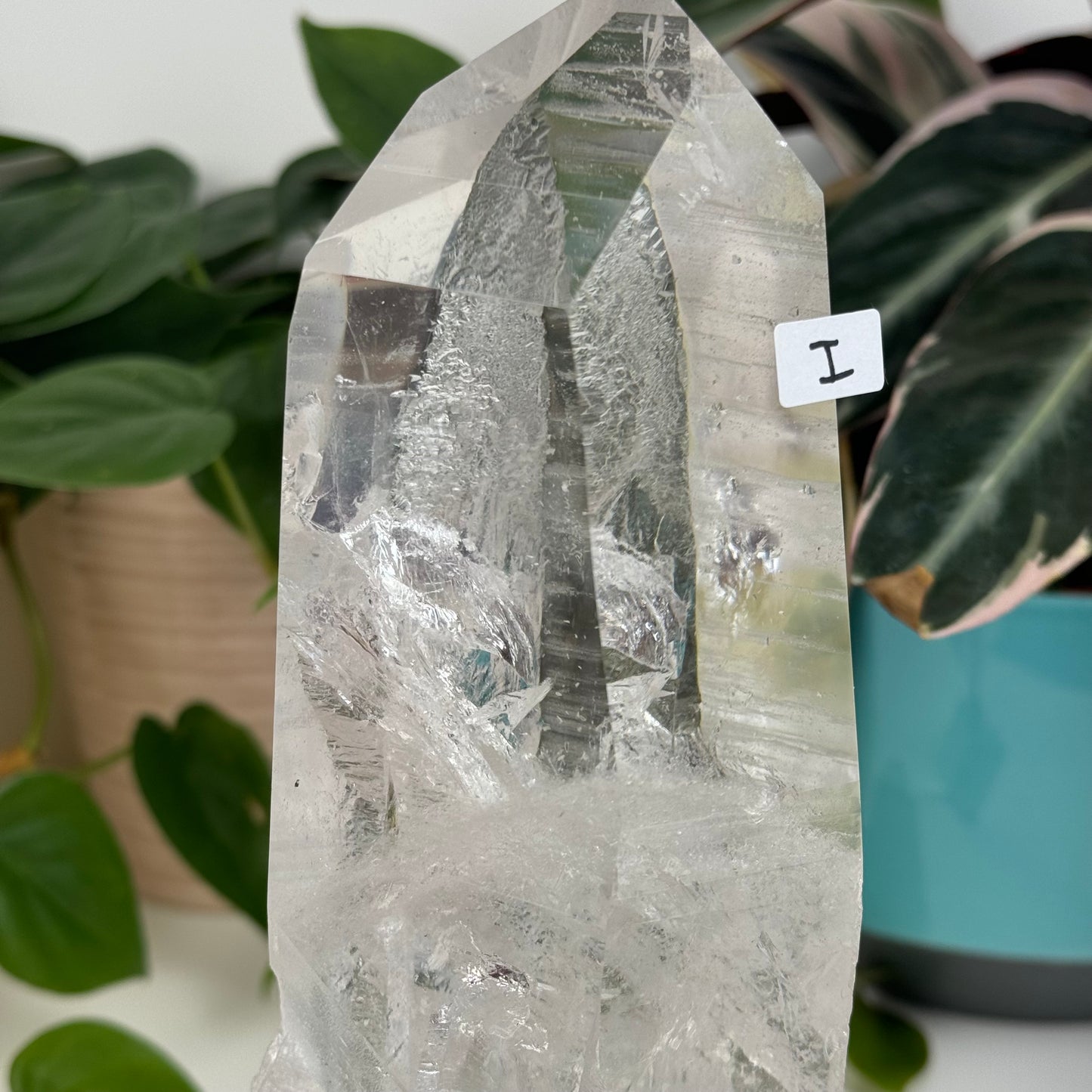 Incredible Lemurian Quartz (W/ Custom Stand) - I