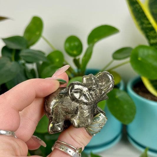 Pyrite Elephant