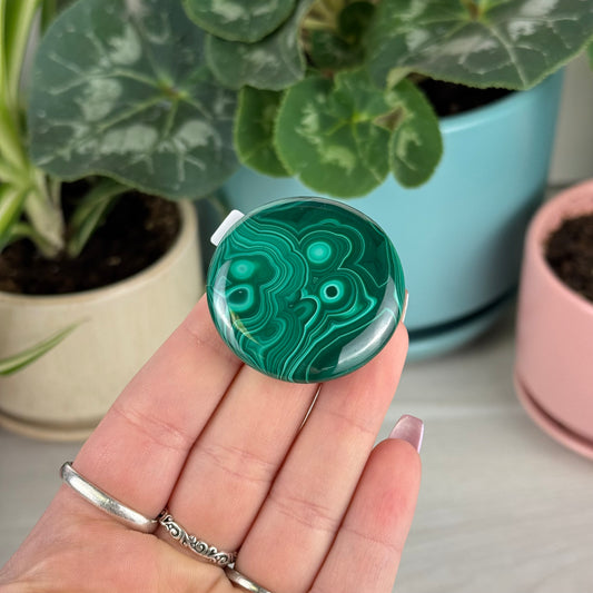 Malachite Cookie - X1
