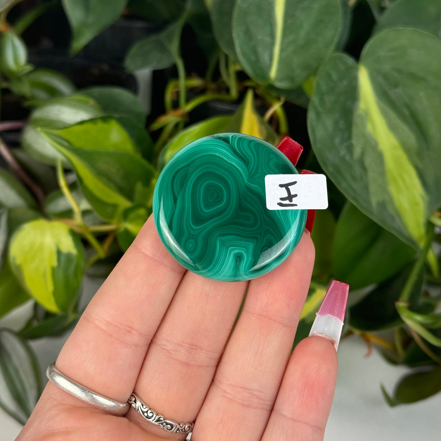 Mini Malachite Cookie