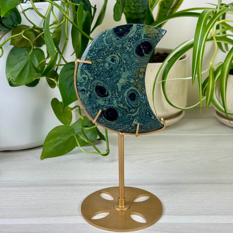 Kambaba Jasper Moon