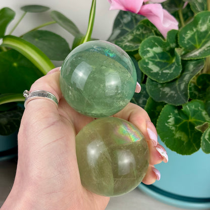 Green Grape Fluorite Sphere