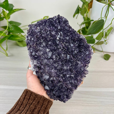 Black Warrior Fluorite