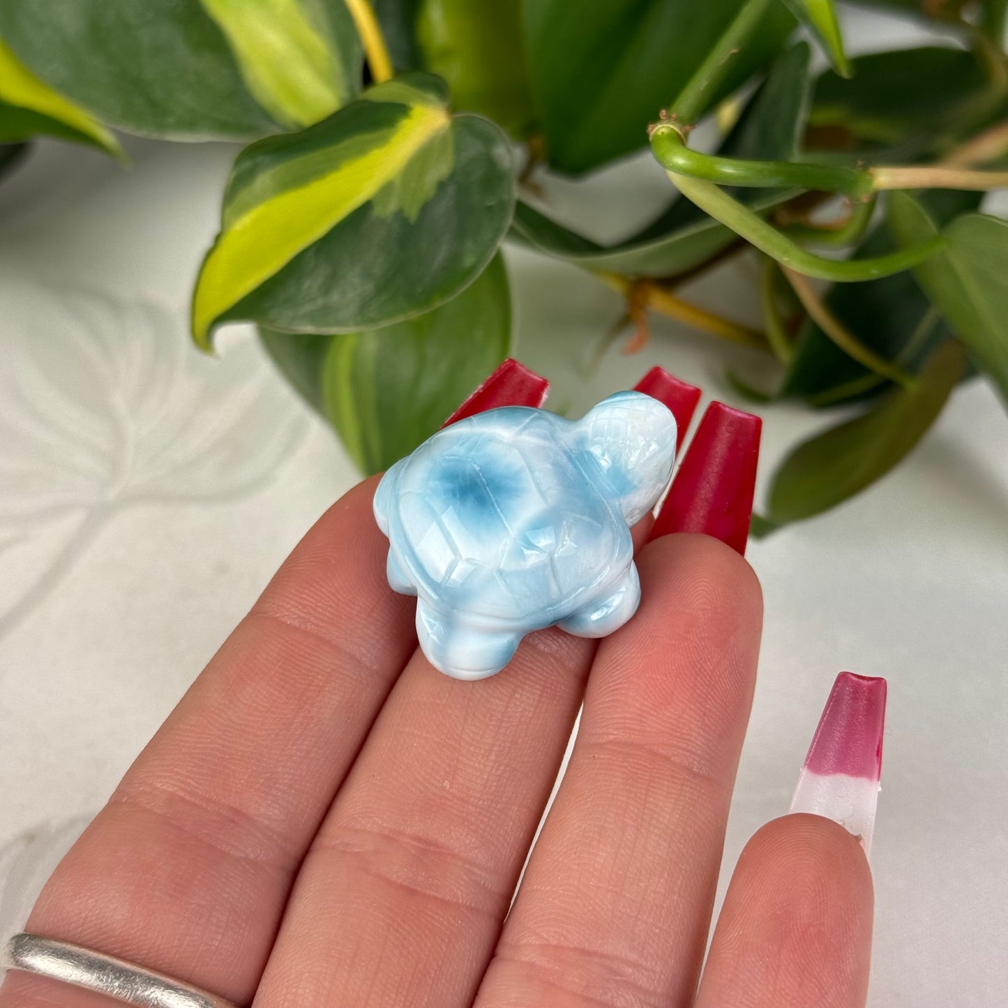 Mini Larimar Turtle