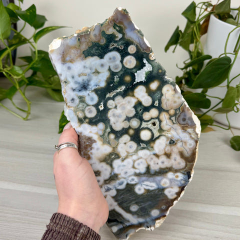 Ocean Jasper Slab