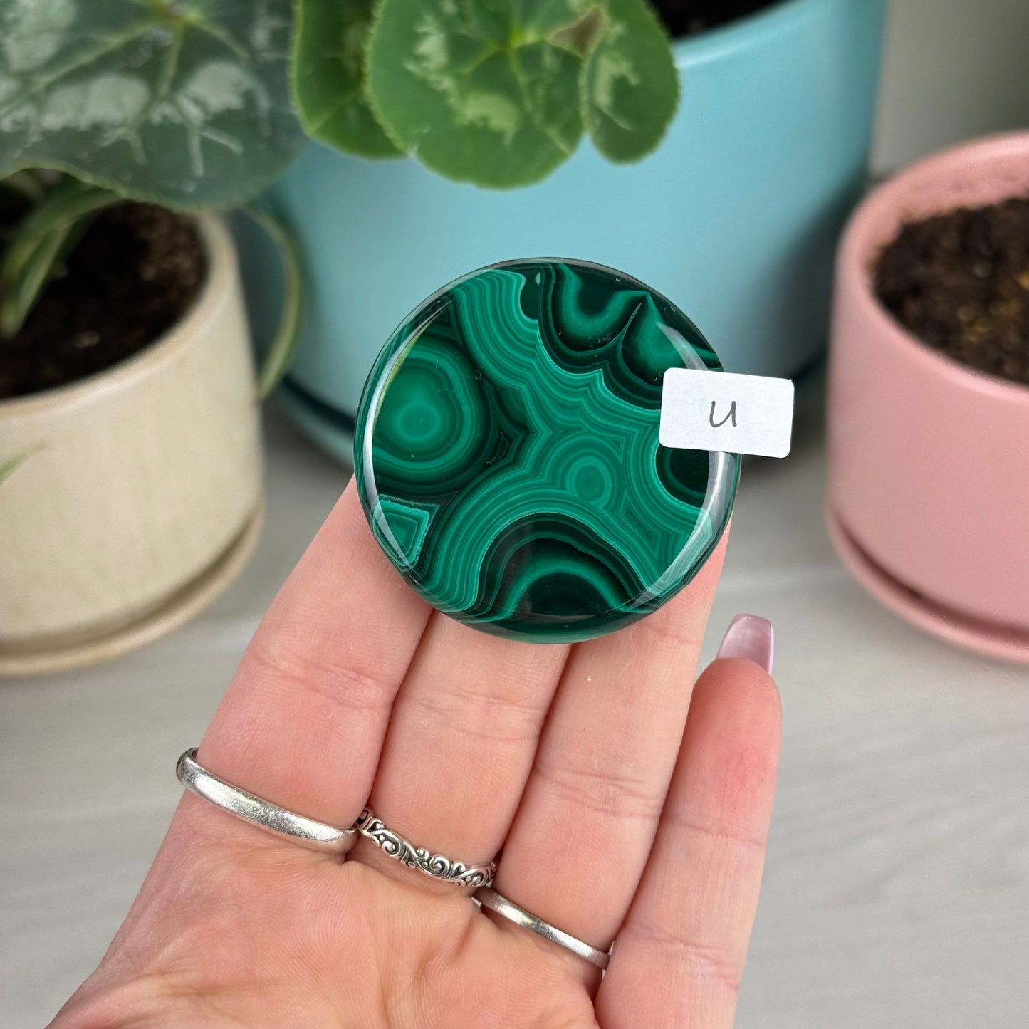 Malachite Cookie - U1