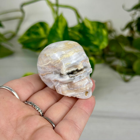 Mini Crazy Lace Agate Skull