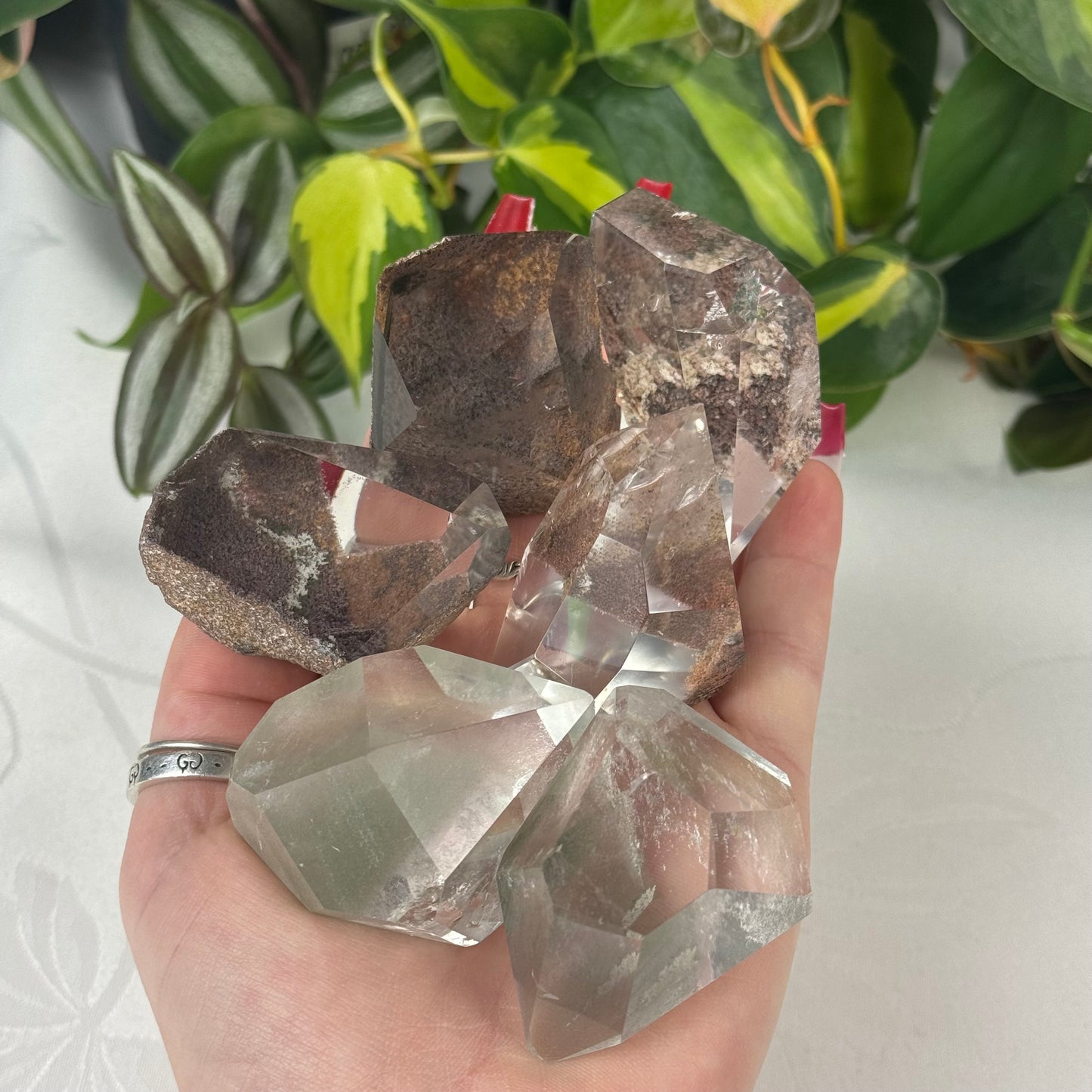 Garden Quartz Gusher