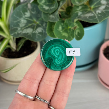 Malachite Cookie - T2