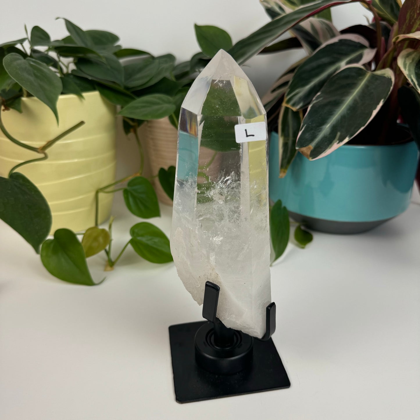 Incredible Lemurian Quartz (W/ Custom Stand) - L