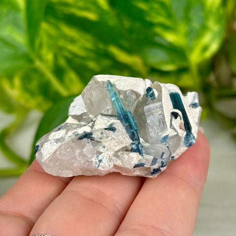 Indicolite Tourmaline Specimen