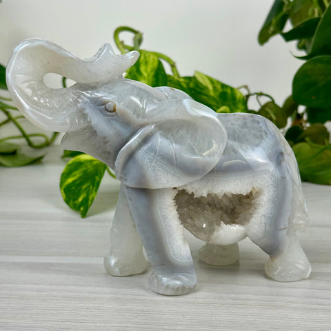 Statement Druzy Agate Elephant - Hazel