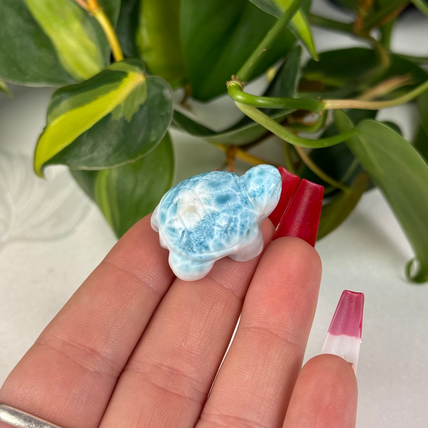 Mini Larimar Turtle