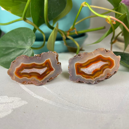 Malawi Agate Pair