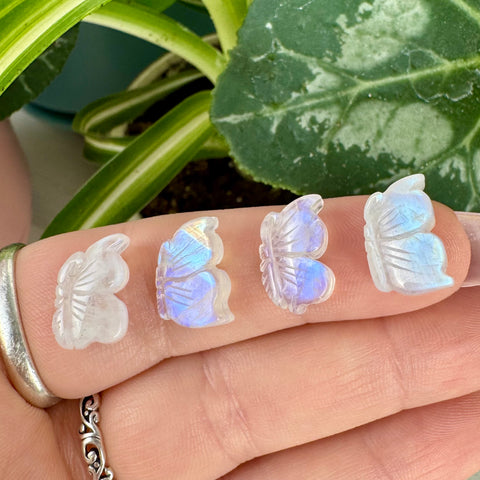 Mini AAA Rainbow Moonstone Crystal Butterfly